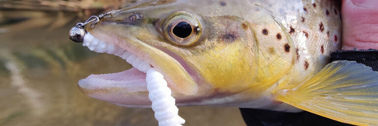Libra Lures wpis Larva Multi