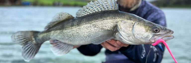 Libra Lures wpis idzie nowe Bass Series