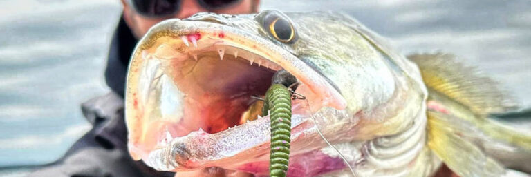 Libra Lures wpis Bass Worm series i lipcowy skwar