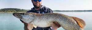 Picture of TEAM LIBRA LURES