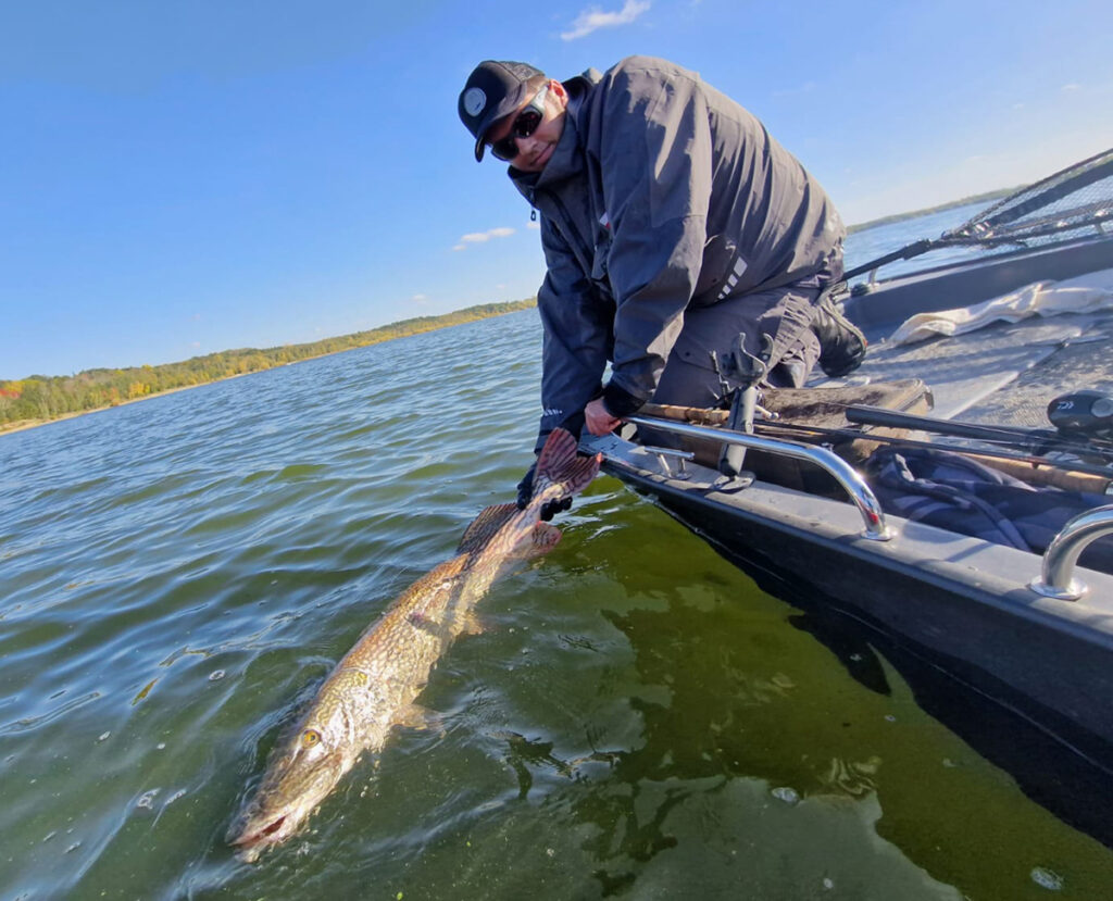 03-Libra-Lures-Bass-Series-drop-shot-i-najgrubsze-ryby
