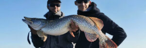 Libra Lures wpis Bass Series drop shot i najgrubsze ryby